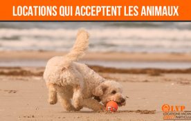 LOCATIONS DE VACANCES QUI ACCEPTENT LES ANIMAUX